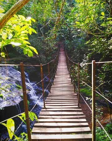 Puente colgante sobre un arroyo entre la selva paraguaya